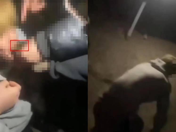 皇冠信用需要押金吗_16岁男生遭多人欺辱殴打皇冠信用需要押金吗，被逼跪地爬行学狗叫，警方：社会青年之间矛盾引起，已立案调查