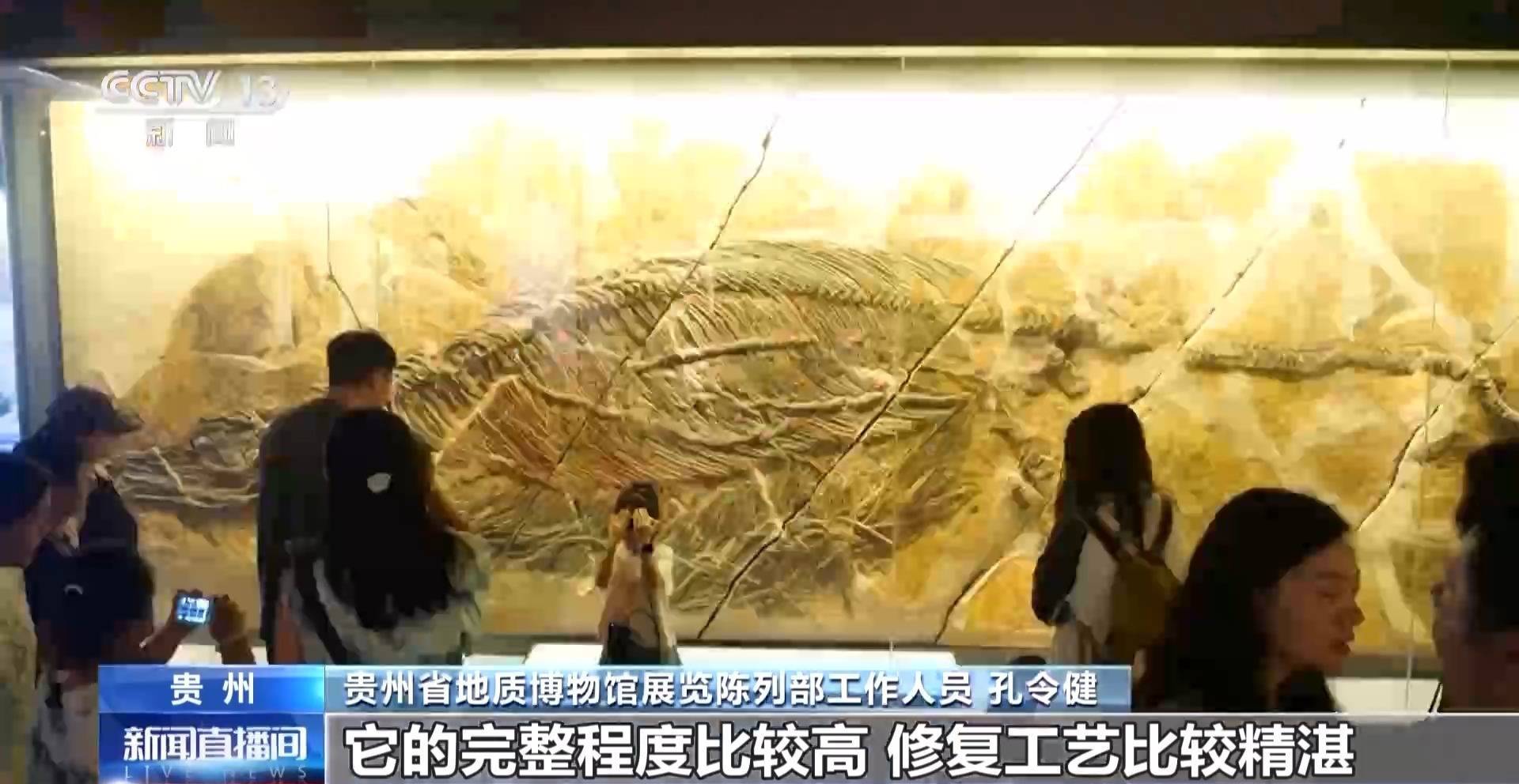 皇冠信用网登3_文化中国行丨暑期“文博热” 各地博物馆推出多元体验新玩法