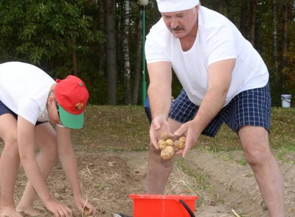 黑镇市vs卧龙岗狼队_卢卡申科：我要带土豆去中国黑镇市vs卧龙岗狼队，送给各国领导人