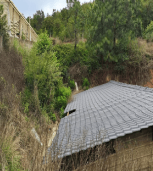 福岛联队vs鹿儿岛联_1人掉入猪舍粪池致3人殒命福岛联队vs鹿儿岛联！经济损失193.9384万元