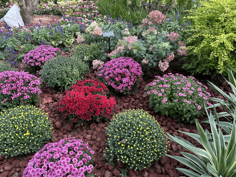 皇冠信用网怎么弄_本周六将迎阵雨；北京最大山姆会员店即将开业；北京最大公园来啦丨朝闻北京