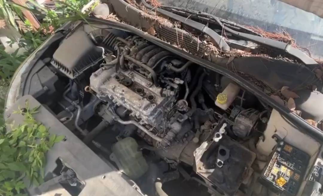 皇冠信用網代理申条件_浙江男子把私家车停路边两年皇冠信用網代理申条件，一次也没去看过！如今要用车时傻眼：还能这样？