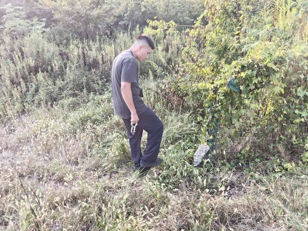 皇冠信用網在线注册_浙江一姑娘以奶茶为记号皇冠信用網在线注册，竟然在草丛里藏了11万现金！