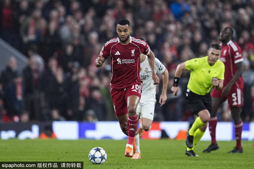 欧冠冠军杯_欧冠-麦卡利斯特一击致命 利物浦1-0送皇马赛季第2败