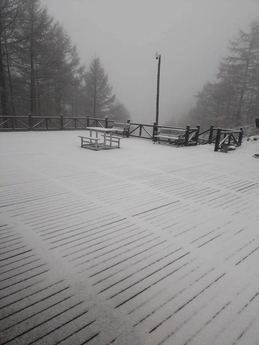 皇冠体育App下载_石家庄下雪了！河北将迎中到大雪皇冠体育App下载，未来三天……