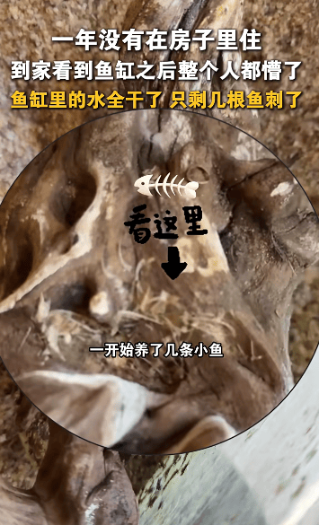 皇冠信用網代理_哈尔滨女子离家一年回家发现“活鱼变鱼刺”