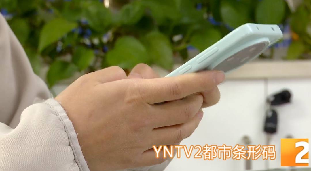 波多黎各 vs 牙买加_昆明警方意外查获名为“武林秘籍”的表格波多黎各 vs 牙买加，详细划分人设、开场白……