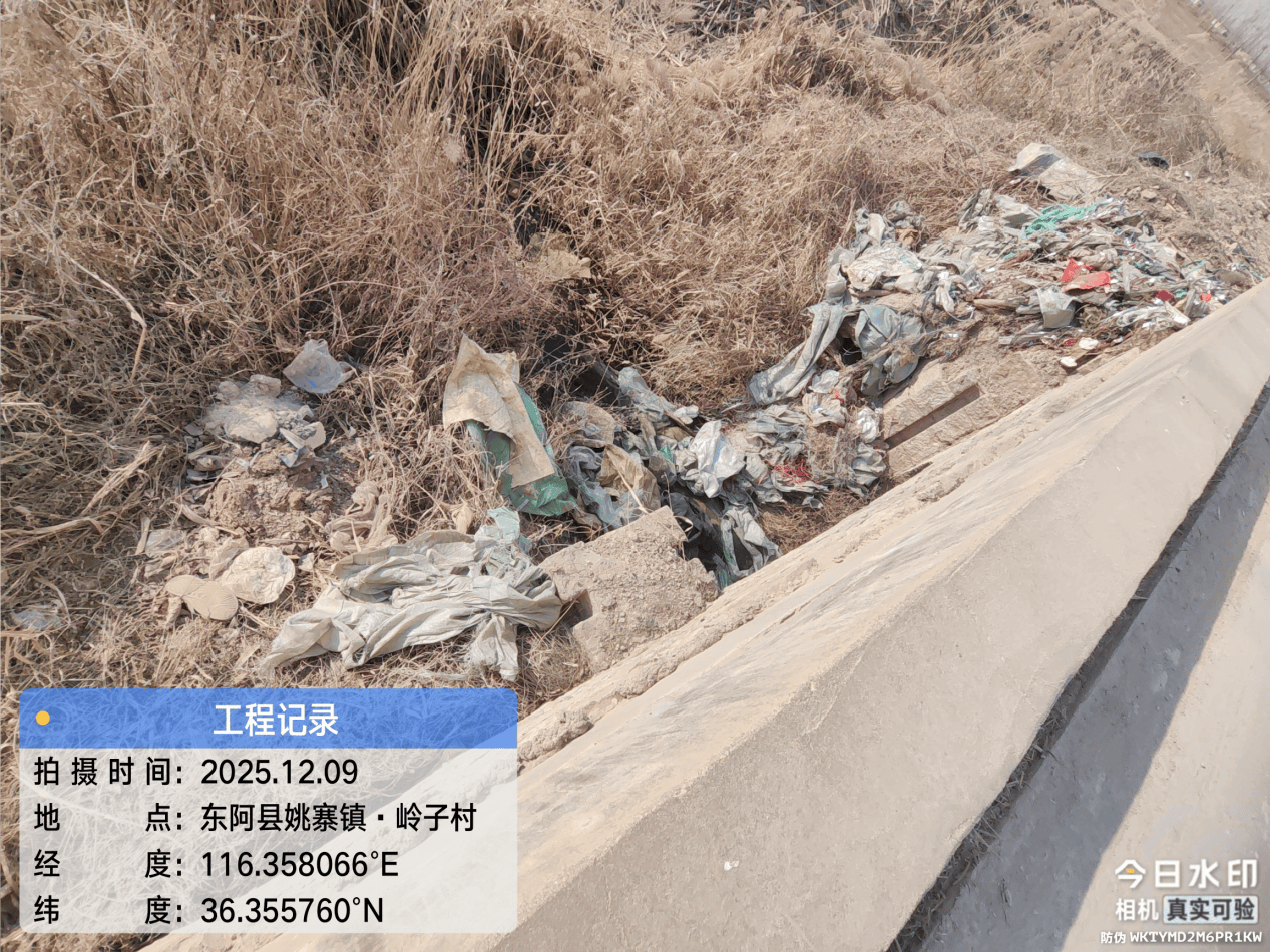 皇冠信用網注册开户_东阿县：多个村庄“垃圾围村” 县农村农业局回复称 已全部整治清理