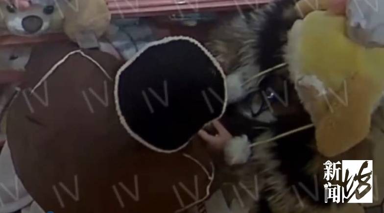 皇冠信用网最新地址_太猖狂!事发上海迪士尼皇冠信用网最新地址,28人全部被抓!